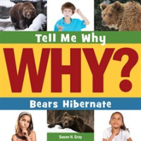 Bears_Hibernate
